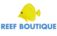 Reef Boutique Online Dev